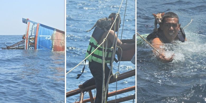Kolase foto pelaut Angkatan Laut Thailand yang menyelamatkan empat anak kucing dari kapal yang tenggelam di Laut Andaman, Selasa (2/3/2021).