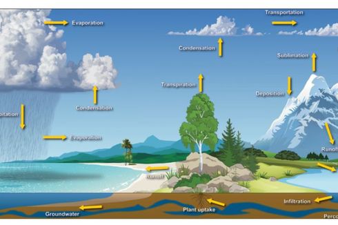 Siklus Hidrologi: Jenis dan Komponen Pembentuknya