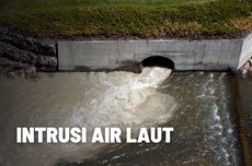 Intrusi Air Laut: Pengertian, Penyebab, dan Dampaknya 