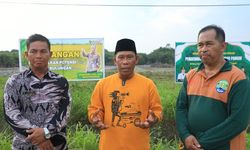 Manfaatkan 100 Hektar Lahan Tidak Produktif, Pemkab Bulungan Gunakan Konsep Minapangan