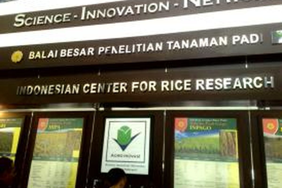 Balai Besar Penelitian Padi Sukamandi, Subang, Jawa Barat