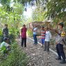 Monyet Liar Serang Balita dan Nenek di Jember 
