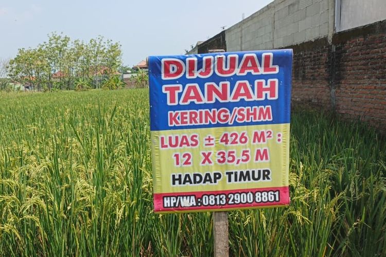 Mengenal Tanah KW yang Sering Jadi Biang Sengketa Tanah