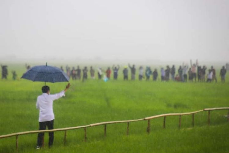 Presiden Jokowi saat meninjau lahan food estate (lumbung pangan) di Kabupaten Sumba Tengah, Nusa Tenggara Timur (NTT), Selasa (23/2/2021).