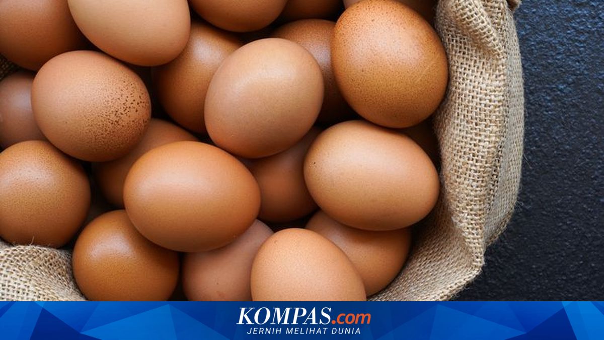 Harga Telur Lesu, Kementan Desak Pabrik Pakan Tunda Kenaikan Harga