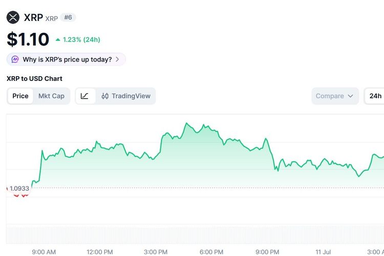 Harga XRP Hari Ini 11 Juli 2026, Ikuti Kenaikan Pasar Kripto