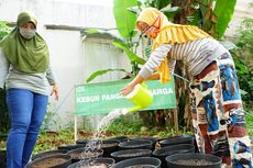 Jaga Stabilitas Pangan di Tengah Pandemi, Dompet Dhuafa Hadirkan Kebun Pangan Keluarga