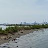 Usulkan Pulau G Jadi Ruang Terbuka Hijau, Pakar: Untuk Perbaikan Kualitas Lingkungan Pesisir Utara Jakarta