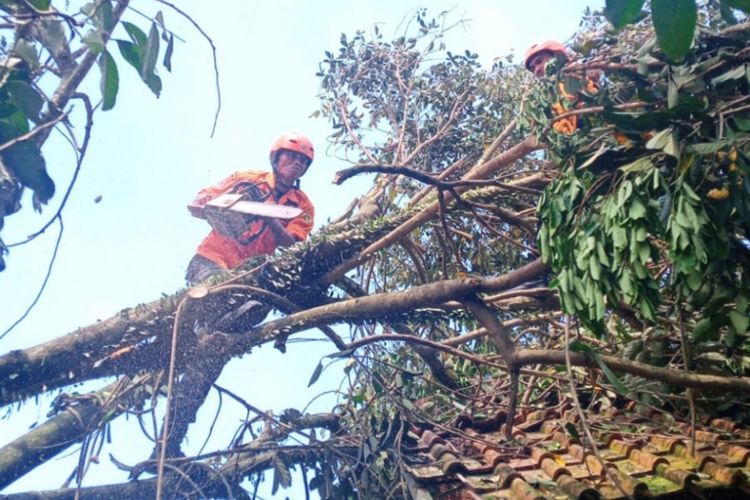 Petugas BPBD Kabupaten Bogor sedang melakukan penanganan bencana angin kencang di wilayah Cileungsi, Kabupaten Bogor, Jawa Barat, Minggu (9/4/2023).