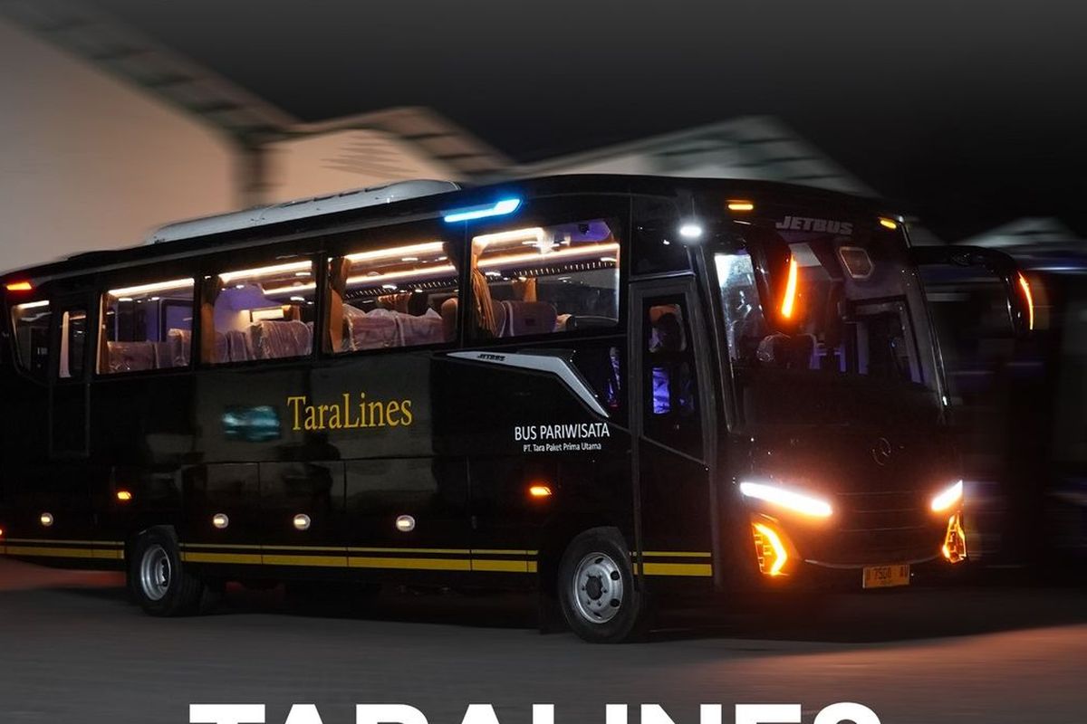 Bus PO Taralines