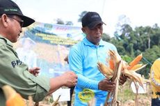 Fokus Kembangkan Pertanian, Bupati Bulungan: Saya Tampung Semua Masukan dan Keinginan Petani