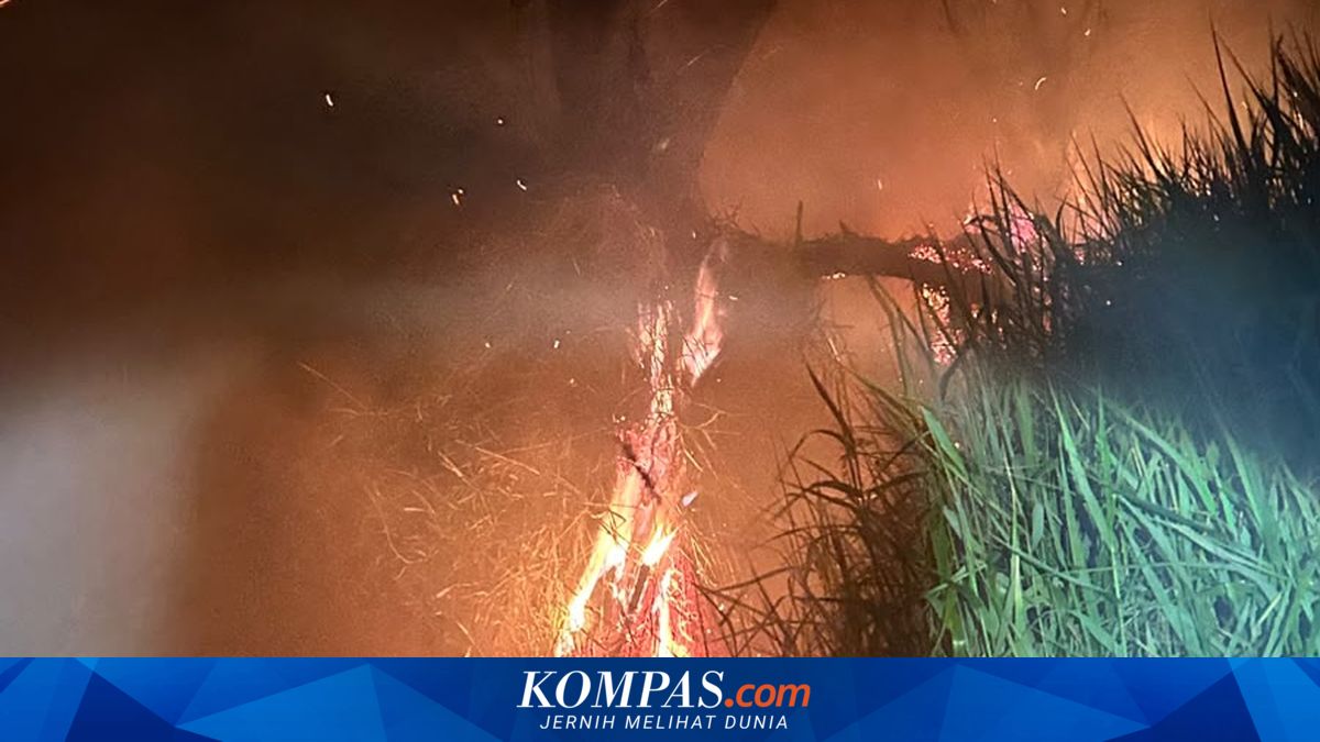 Hutan Gunung Slamet Terbakar, Api Diduga Berasal dari Puntung Rokok Pendaki