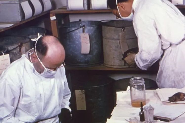 Teka-teki Kematian Peneliti Rusia di Lab Pes Siberia, AS sampai Ikut Pantau