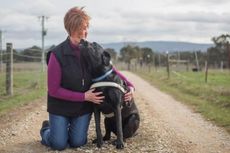 Kisah Anjing Labrador Selamatkan Majikannya yang Tunanetra