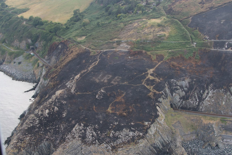 Kebakaran hutan di Irlandia bikin tanda Perang Dunia II terlihat