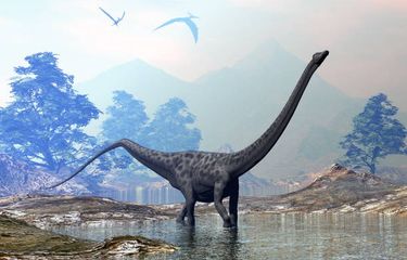 Ilustrasi Diplodocus, salah satu dinosaurus berleher panjang.