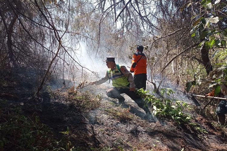 Kebakaran di Gunung Lawu Capai 100 Hektare