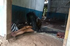 Kisah Relawan Potong Rambut Gimbal 2 Meter dan Jadi Sarang Hewan: Saya Merinding