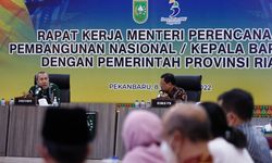 Gubernur Riau Minta Dukungan Pembangunan Infrastruktur pada Kementerian PPN/Bappenas