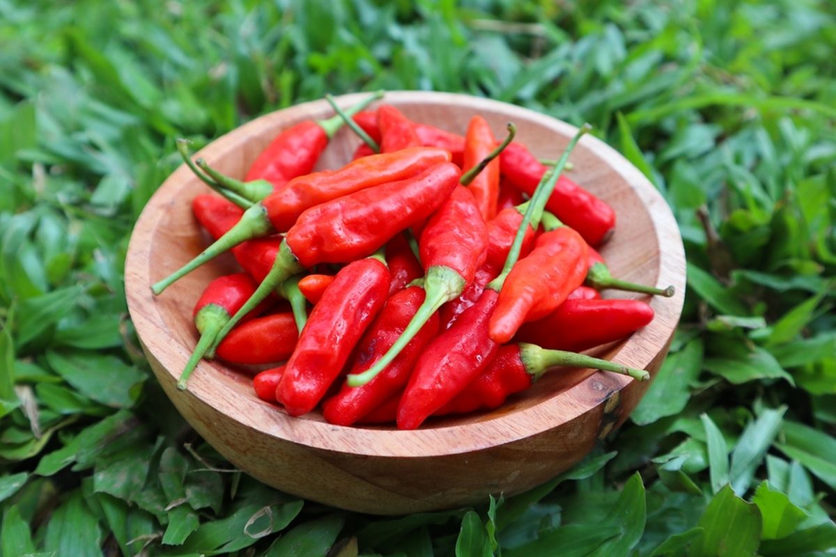 Harga Bahan Pokok Rabu 30 Oktober 2024, Harga Cabai Rawit Merah Turun Halaman all