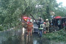 Hujan Lebat, Bandung Dilanda Banjir, Pohon Tumbang Timpa Kendaraan