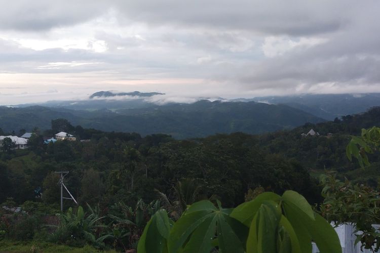 Kawasan Hutan Pohon Aren atau Enau di Lembah Kolang di Flores Barat, Nusa Tenggara Timur sebagai salah satu daya tarik wisatawan untuk mempelajari kearifan lokal tentang manfaat Pohon Aren bagi kehidupan manusia dan alam semesta serta makhluk lainnya, Rabu, (30/3/2022). (KOMPAS.com/MARKUS MAKUR)