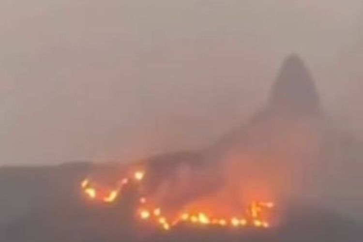 Kebakaran Hutan Lindung Gunung Lakawan Enrekang, Medan Terjal Menyulitkan Pemadaman