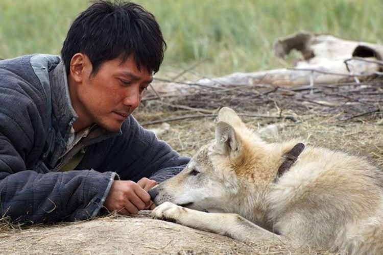 Wolf Totem (2015). 