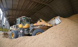 Selama 2022, Penggunaan Biomassa di Pabrik SIG Tembus 2,7 Juta Ton