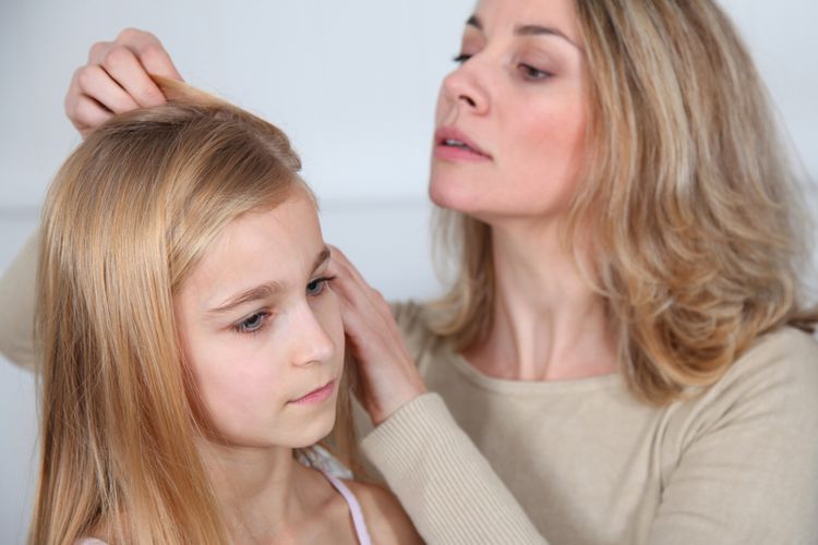 Ilustrasi orangtua membersihkan kutu rambut pada anak.