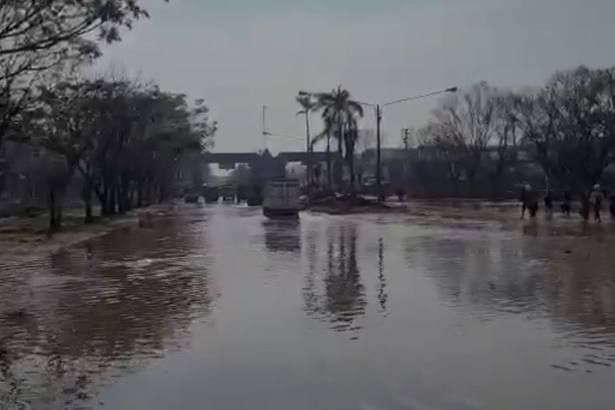 Aktivitas di Pelabuhan Tanjung Emas Semarang. Selasa (21/6/2022)