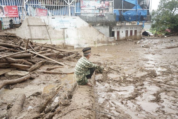 Habitat Rusak Diterjang Banjir Bandang, Babi Hutan Masuk Permukiman dan Serang Warga Padang
