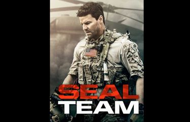 SEAL Team