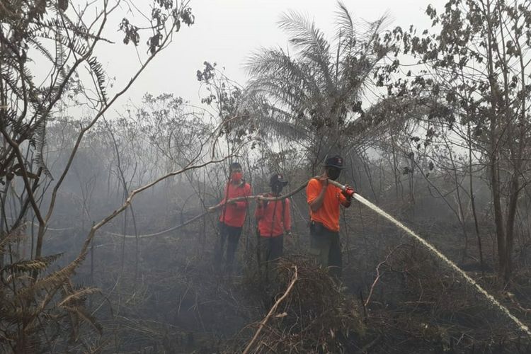 Petugas Manggala Agni Daops Dumai tengah berjibaku memadamkan titik api karhutla di Kelurahan Pelintung, Kecamatan Medang Kampai, Kota Dumai, Riau, Selasa (30/6/2020).