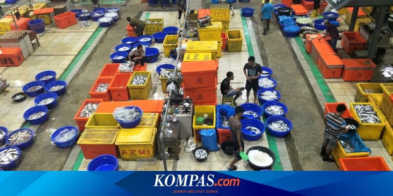 Saya Penasaran Katanya Pasar Ikan Muara Baru Mirip Tsukiji
