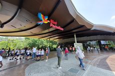 Berkeliling Bird Paradise, Taman Burung Terbesar di Asia