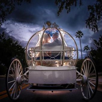 Kini, Anda bisa menyewa seluruh Walt Disney World di Florida, AS untuk menikah.