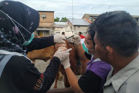 Tekan Penyebaran PMK, Pemkab Kediri Tutup Sementara Seluruh Pasar Hewan 