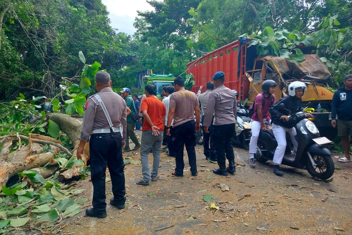 Pohon tumbang menimpa sebuah truk yang sedang melintas di jalur Denpasar-Gilimanuk di wilayah Lingkungan Penginuman, Kelurahan Gilimanuk, Kecamatan Melaya, Kabupaten Jembrana, Provinsi Bali, Selasa (7/1/2025).