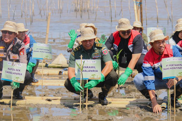 Pertamina Trans Kontinental jalankan Green Mangrove Action Program di Desa Taman Wisata Lantebung, Makassar.