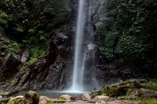 Air Terjun Tancak di Jember: Daya Tarik, Tiket Masuk, dan Jam Buka