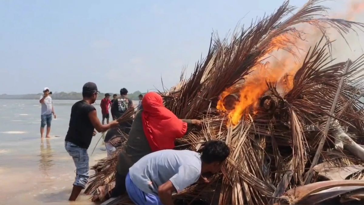 Dead Whale Shark Washed Ashore in Wakatobi Burned to Prevent Foul Odor