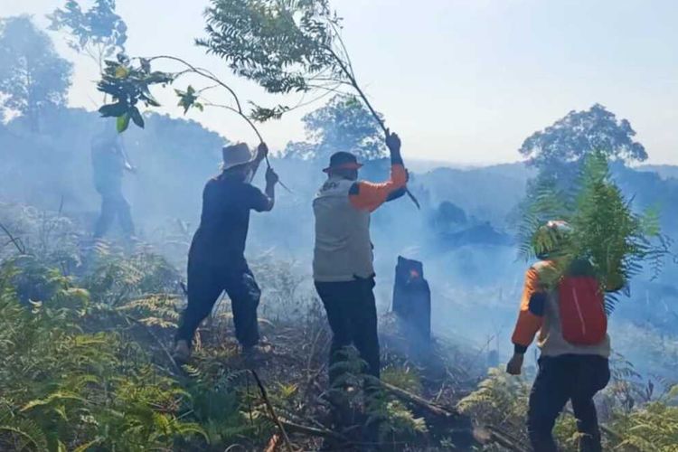 Petugas memadamkan api karhutla dengan menggunakan kayu, karena tidak ada air disekitar lokasi kebakaran di Desa Rambah Samo Barat, Kecamatan Rambah, Kabupaten Rokan Hulu, Riau, Senin (28/3/2022/).