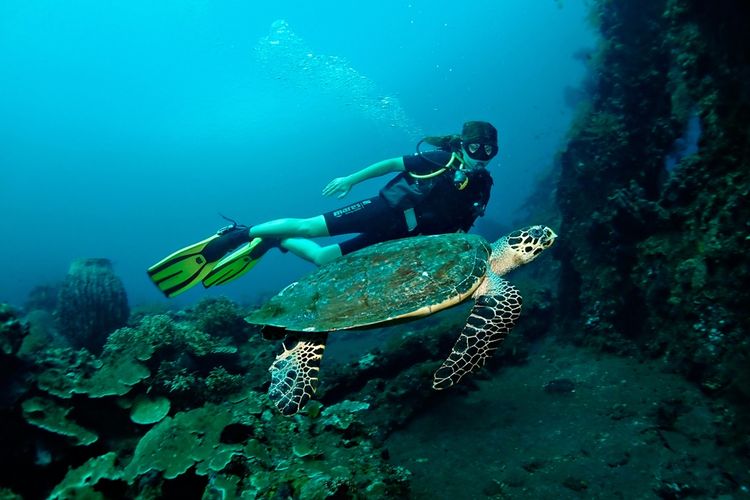 Seorang penyelam di bawah laut Tulamben, Bali.