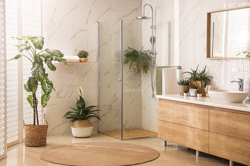5 Tanaman yang Bisa Ditaruh di Dalam Area Shower