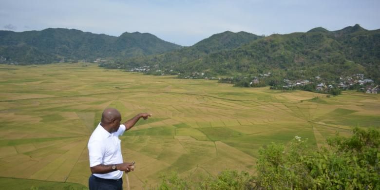 General Manager PT PLN NTT, Richard Safkaur menyisihkan waktunya untuk melihat keunikan persawahan Lingko Lodok di hamparan persawahan Cancar, Desa Meler, Kecamatan Ruteng, Kabupaten Manggarai, Sabtu (16/11/2013) lalu. Dia sangat mengagumi keindahan persawahan yang langka di dunia ini. 