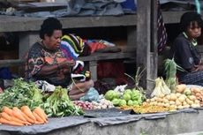 Rencana Pemekaran Papua, Menteri Tito: Papua Selatan Sudah Oke...