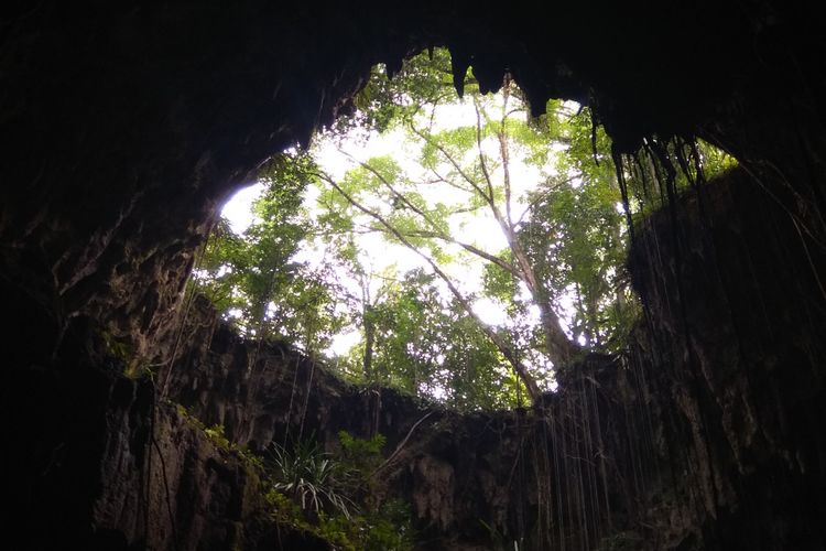 Mulut Goa Jepang di Biak, Papua Barat.