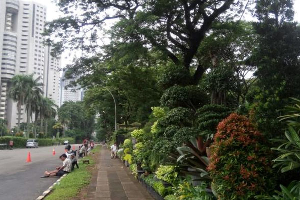 Lokasi relokasi lapak pedagang tanaman hias di Senayan. Mereka dipindahkan di Parkir Timur Senayan.