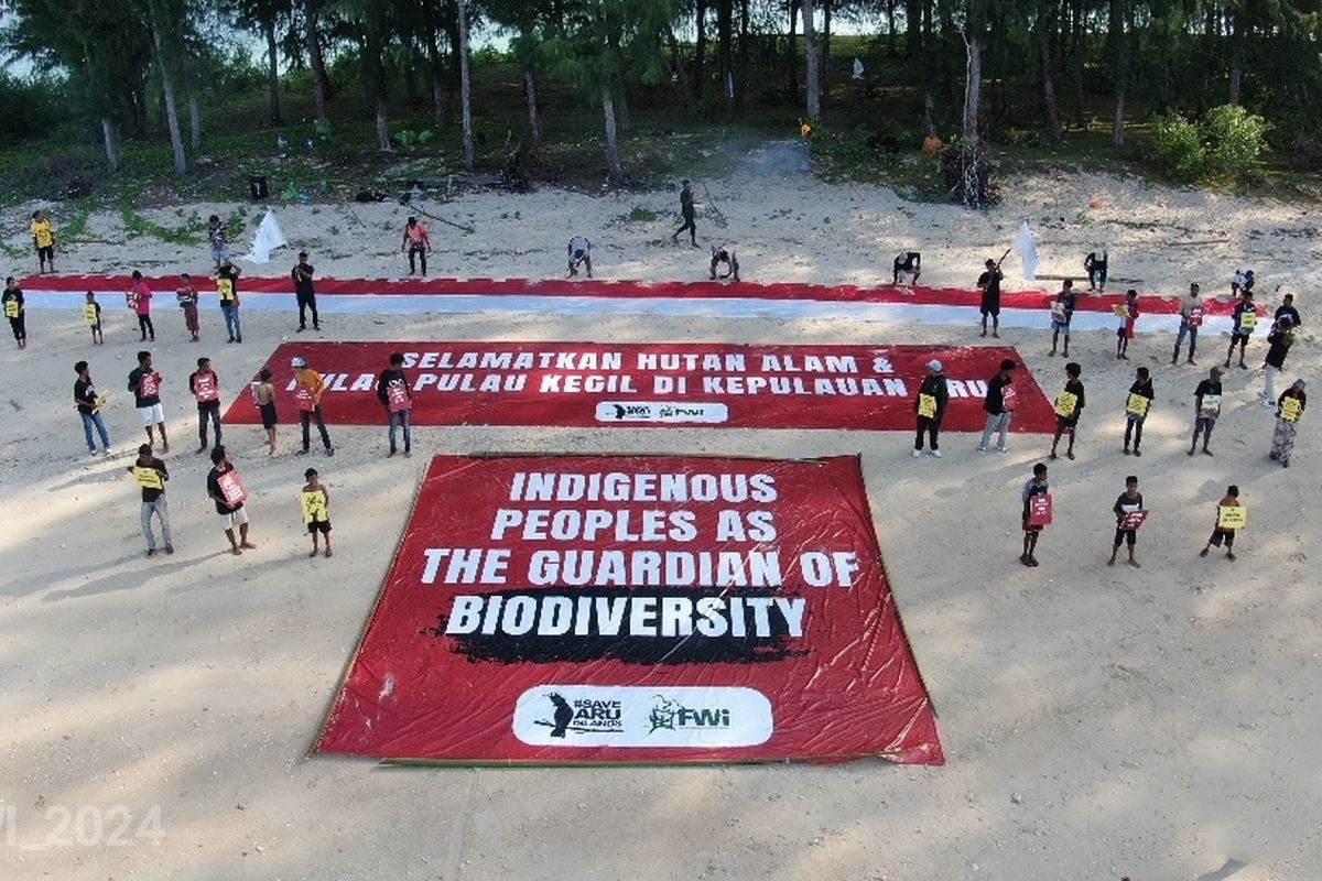 Sejumlah pemuda adat membentangkan spanduk raksasa untuk selamatkan hutan aru di pantai Pulau Kumareri, Kabupaten Kepulauan Aru, Maluku, Sabtu (26/10/2024).